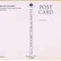 Animal Postcard British Columbia Wapiti Indian Name For Elk