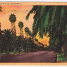 California Postcard Palm Drive Southland