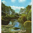 Glengariff Ireland Postcard The Blue Pool County Cork Emerald Isle Rugged Glen