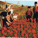 Holland Michigan Postcard Tulip Time in Holland Children Wooden Shoe Factory