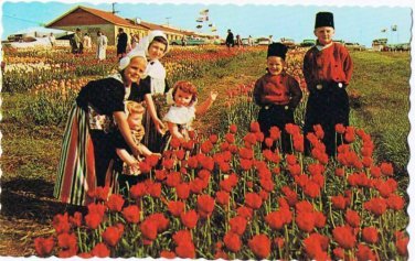 Holland Michigan Postcard Tulip Time in Holland Children Wooden Shoe Factory