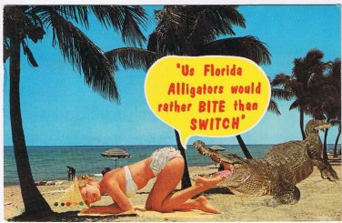 Postcard Comic Us Florida Alligators Would Rather Bite Than Switch Lady On Beach