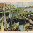 Postcard Fishing Industry At L'Anse a Beaufils Gaspe Quebec