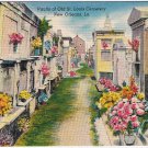 Postcard Vaults Of Old St Louis Cemetery New Orleans Louisiana
