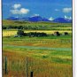 Alberta Postcard Mountains & Praire Fields