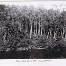 Ontario Postcard RPPC Duck Lake Near Orrville Ontario