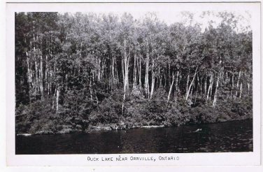 Ontario Postcard RPPC Duck Lake Near Orrville Ontario