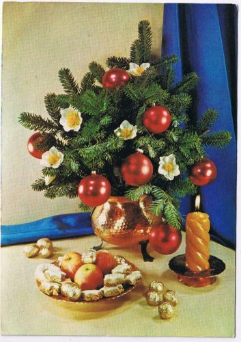 Holiday Postcard Christmas Centerpiece Tree Branch Apples Candy Candle Germany
