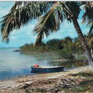 Postcard Typical Scene On The Florida Keys Palm Trees Ocean Beach