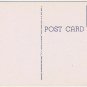 Postcard Travelers Palm Tree Florida