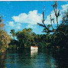 Postcard Jungle Cruise Bayous Everglades West Palm Beach Florida