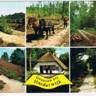 Holland Netherlands Postcard Harderwijk Horses Landscapes