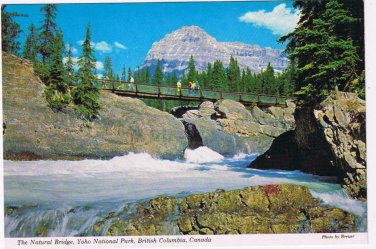 British Columbia Postcard Natural Bridge Yoho National Park