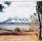 Florida Postcard Jacksonville John E Matthews Bridge