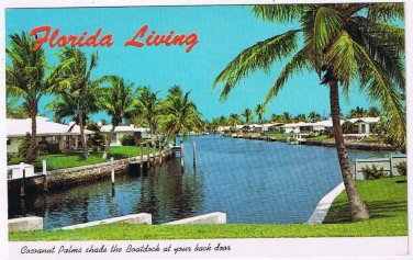 Florida Postcard Lighthouse Point Cocoanut Palms Boatdock