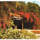St Petersburg Florida Postcard Sunken Gardens