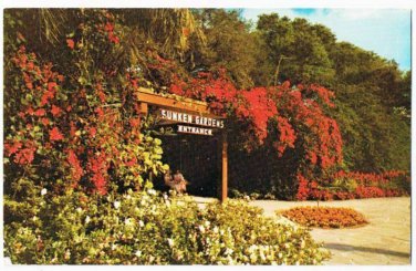 St Petersburg Florida Postcard Sunken Gardens