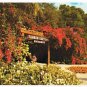 St Petersburg Florida Postcard Sunken Gardens