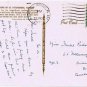 St Petersburg Florida Postcard Sunken Gardens