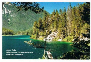 Whiteswan Provincial Park British Columbia Postcard Alces Lake