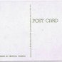 Florida Postcard Pink Flamingos Sarasota Jungle Gardens Curteich FK 71