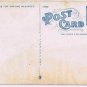 Watkins Glen New York Postcard Watkins Seneca Lake Curteich A-79396 1919