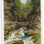 Watkins Glen New York Postcard Matchless Scene Curteich A-86556 1921