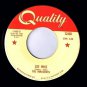 Innocents Gee Whiz 45 rpm Please Mr Sun