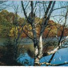 New York Postcard Rochester Durand Lake Durand Eastman Park