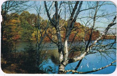 New York Postcard Rochester Durand Lake Durand Eastman Park