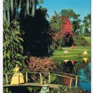 Florida Postcard Cypress Gardens Fabulous Beauty
