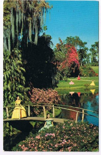 Florida Postcard Cypress Gardens Fabulous Beauty