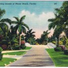 Postcard Bridge Connecting Islands Of Miami Beach Florida