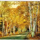 New Hampshire Postcard White Mountains Shelburne Memorial Highway