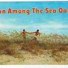 Florida Postcard Sea Oats Fun