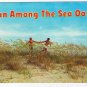 Florida Postcard Sea Oats Fun