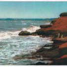 Prince Edward Island PEI Postcard Soil Surf On Shores Of PEI