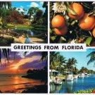 Florida Postcard Multi View Oranges Southern Charm Sunset Marina
