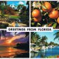 Florida Postcard Multi View Oranges Southern Charm Sunset Marina