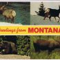Postcard Greetings From Montana Multi Moose Caribou Black Bear