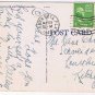 Florida Postcard Beautiful Australian Pines In The Sunshine State