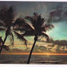 Florida Postcard Sun On The Horizon Silhouettes Swaying Palms Florida Beach