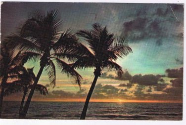 Florida Postcard Sun On The Horizon Silhouettes Swaying Palms Florida Beach