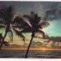 Florida Postcard Sun On The Horizon Silhouettes Swaying Palms Florida Beach