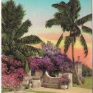 Florida Postcard Purple Bougainvillea