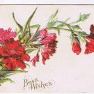 Greeting Postcard Embossed Best Wishes Red Carnations