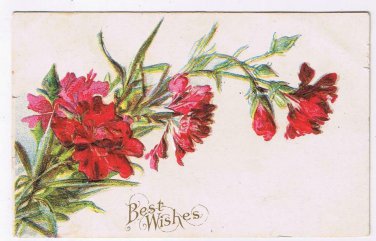 Greeting Postcard Embossed Best Wishes Red Carnations