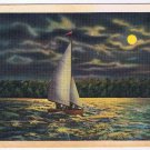 Postcard Sailing In The Moonlight Florida