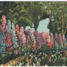 Postcard Hedge Of Sweet Peas Eola Park Orlando Florida