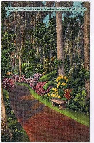 Postcard Main Trail Through Cypress Gardens In Sunny Florida